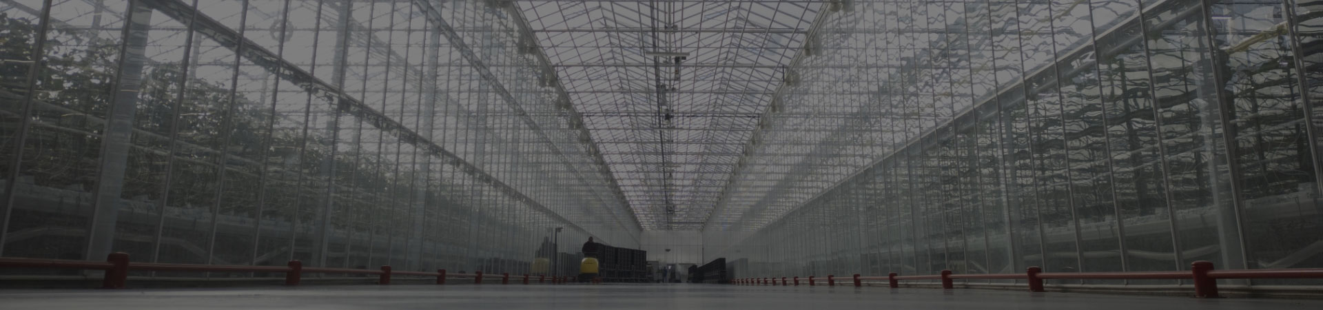 building interior with glass ceiling